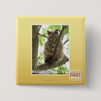 Chapa Cuadrada Koala Kitteh