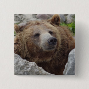 Chapa Cuadrada Kodiak Bear