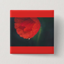 Chapa Cuadrada La amapola y la araña