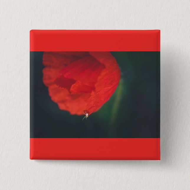 Chapa Cuadrada La amapola y la araña (Anverso)