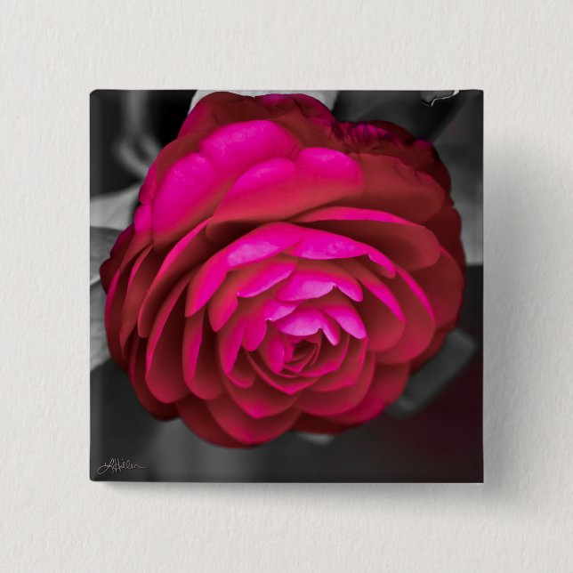 Chapa Cuadrada La Camelia Rosa  (Anverso)