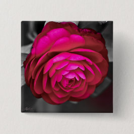 Chapa Cuadrada La camellia rosada