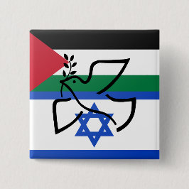 Chapa Cuadrada La disputa por la paz sobre Israel Palestina
