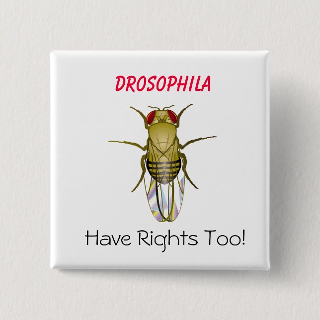 Chapa Cuadrada La DROSOPHILA, Drosophila, tiene Righ… - (Anverso)
