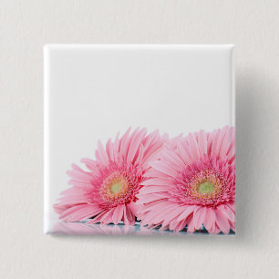 Chapa Cuadrada La elegante fotografía de Gerbera Rosa Daisies
