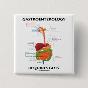 Chapa Cuadrada La gastroenterología requiere la tripa (el sistem