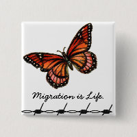 La migración es vida con la mariposa y el alambre