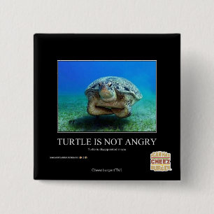 Chapa Cuadrada La tortuga no está enojada