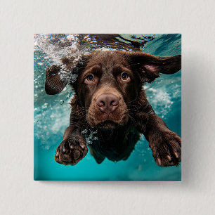 Chapa Cuadrada Labrador Chocolate Juguetón Nadando Bajo el Agua