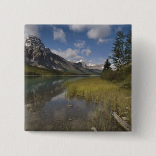 Chapa Cuadrada lago de aves acuáticas a lo largo de la Icefields 