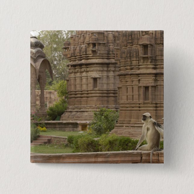 Chapa Cuadrada Langures de Hanuman o langur gris, común o de cara (Anverso)