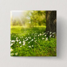 Las alegrías de la primavera