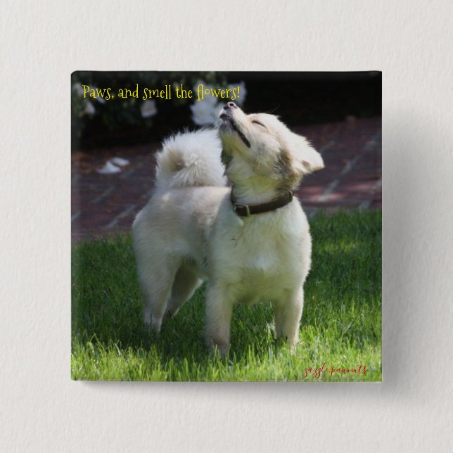 Chapa Cuadrada Las garras y oler las flores (Anverso)