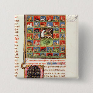 Chapa Cuadrada Las propiedades de animales