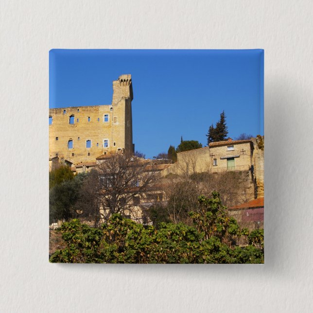 Chapa Cuadrada Las ruinas del castillo de verano del Papa en (Anverso)