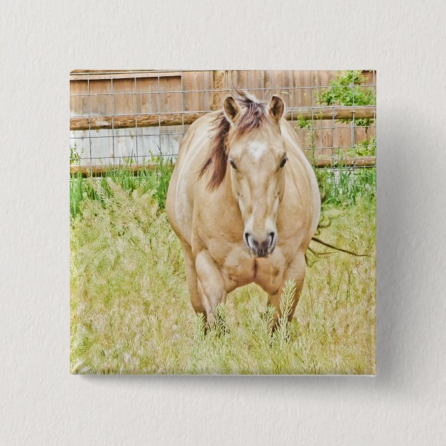 Chapa Cuadrada Lazy Morning (Anverso)