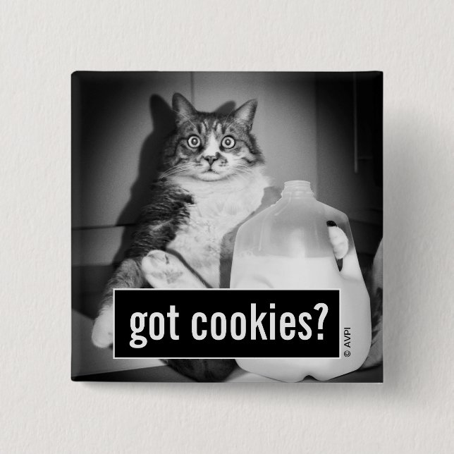 Chapa Cuadrada Leche de gato de jug (Anverso)