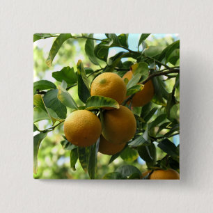 Chapa Cuadrada Lemones Amarillos En El Árbol