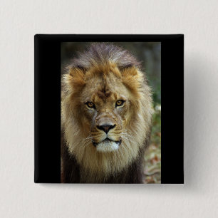 Chapa Cuadrada León