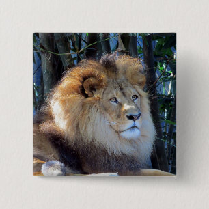Chapa Cuadrada león mane