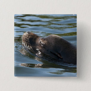 Chapa Cuadrada León Marino