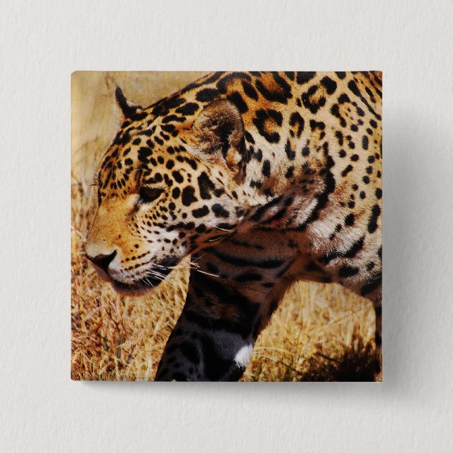 Chapa Cuadrada Leopardo (Anverso)