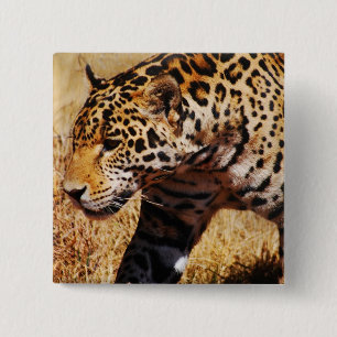 Chapa Cuadrada Leopardo