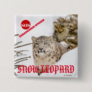 Chapa Cuadrada Leopardo de la nieve