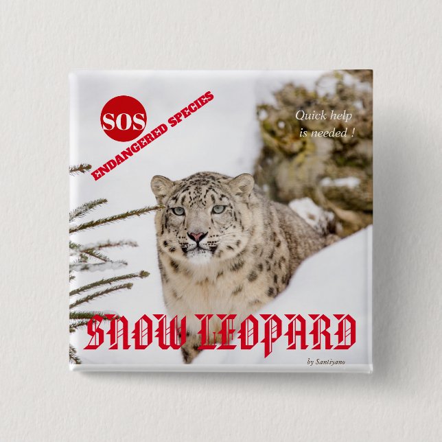 Chapa Cuadrada Leopardo de la nieve (Anverso)