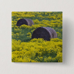 Chapa Cuadrada Letonia, Noreste de Letonia, Región de Vidzeme,