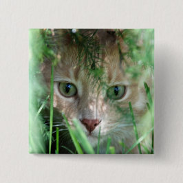 Chapa Cuadrada Leyenda de la selva