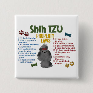 Chapa Cuadrada Leyes 4 de la propiedad de Shih Tzu