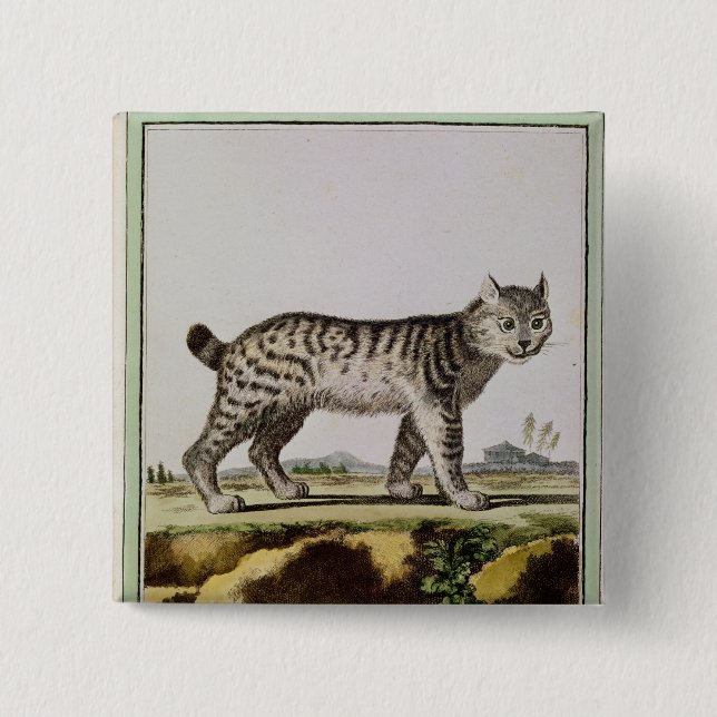 Chapa Cuadrada Lince canadiense (Anverso)