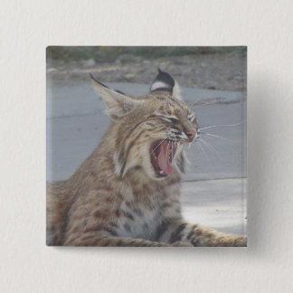 Chapa Cuadrada Lince de bostezo