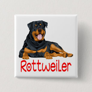 Chapa Cuadrada Lindo Cachorro Amante Cartoon Rottweiler