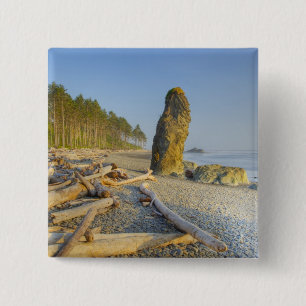 Chapa Cuadrada Línea de costa y montones de mar, Ruby Beach, Olím