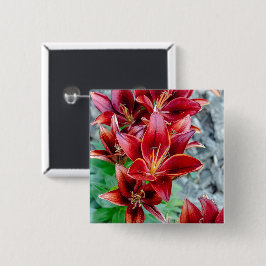Chapa Cuadrada Lirio Botánico Flor de Lirio Estargazer Rojo Vibra