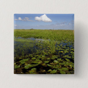Chapa Cuadrada Lirios de agua y pasto aserrado en Florida