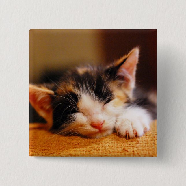 Chapa Cuadrada Little Kitty Sleeping (Anverso)