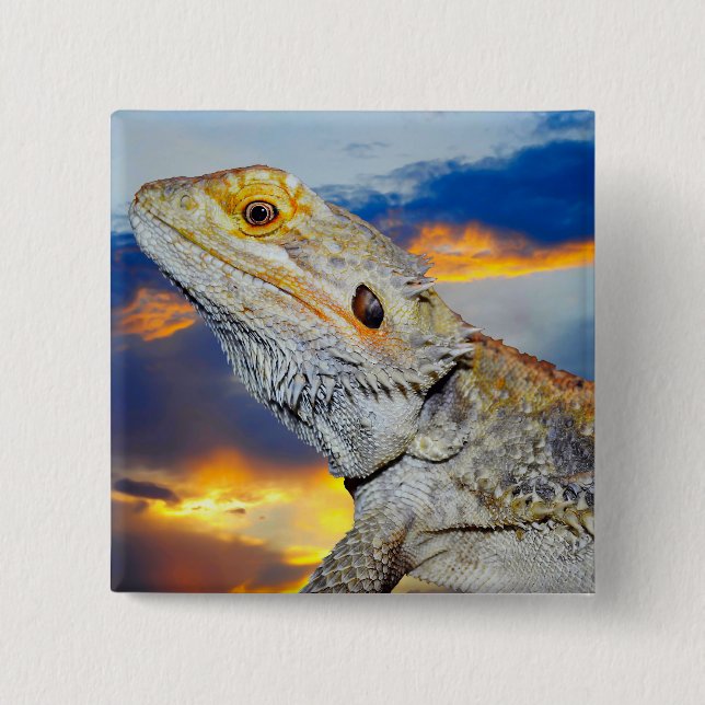 Chapa Cuadrada Lizard gris al atardecer (Anverso)