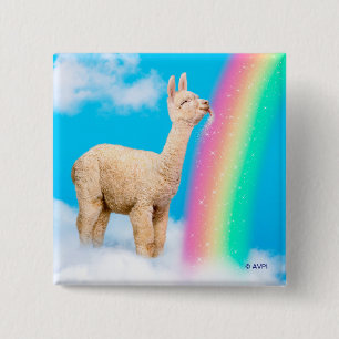 Chapa Cuadrada Llama Licando Arcoiris
