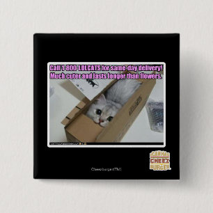 Chapa Cuadrada Llamada 1-800-LOLCATS