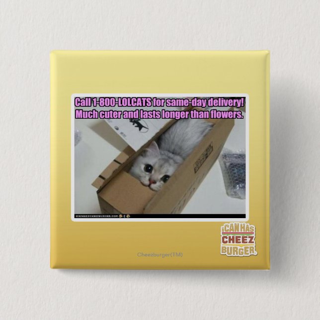 Chapa Cuadrada Llamada 1-800-LOLCATS (Anverso)