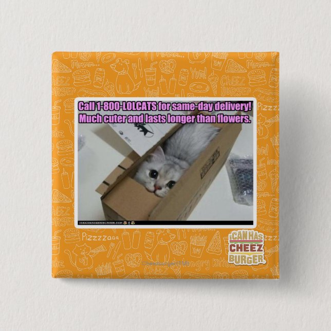 Chapa Cuadrada Llamar al 1-800-LOLCATS (Anverso)