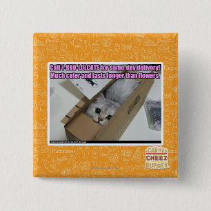Chapa Cuadrada Llamar al 1-800-LOLCATS