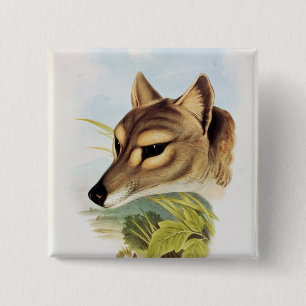 Chapa Cuadrada Lobo o tigre tasmano