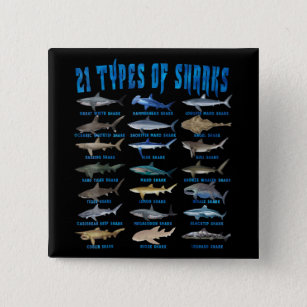Chapa Cuadrada Los Amantes Del Tiburón Aman 21 Tipos De Animales 
