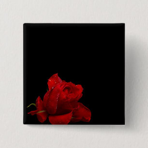 Chapa Cuadrada Los rosas son rojos
