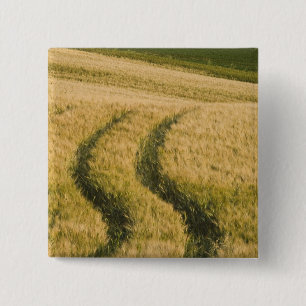 Chapa Cuadrada Los tractores atraviesan trigo, Toscana, Italia