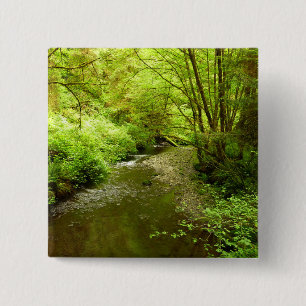 Chapa Cuadrada Lost Man Creek I en el Parque Nacional Redwood